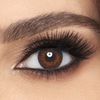 Freshlook Colorblends Brown Contact Lenses - 6 pack (2 week wear)