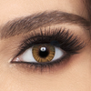 Freshlook Colorblends Honey Contact Lenses - 6 pack (2 week wear)