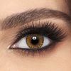 Freshlook Colorblends Pure Hazel Contact Lenses - 6 pack (2 week wear)