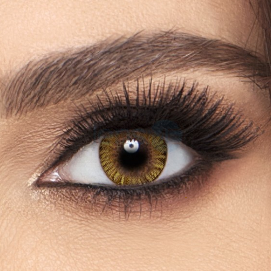 Freshlook Colorblends Pure Hazel Contact Lenses - 2 pack (2 week wear)